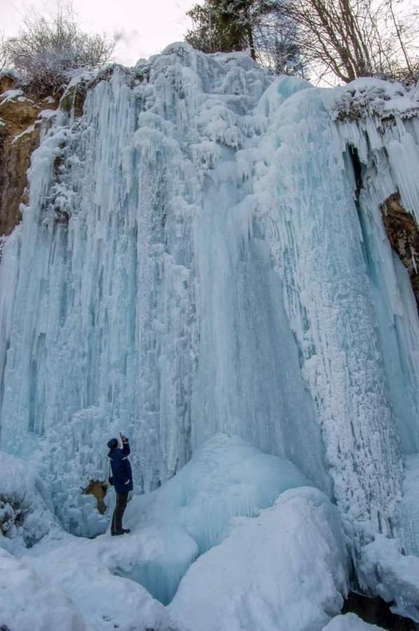 Deea Cascada Villa Vidra  Dış mekan fotoğraf