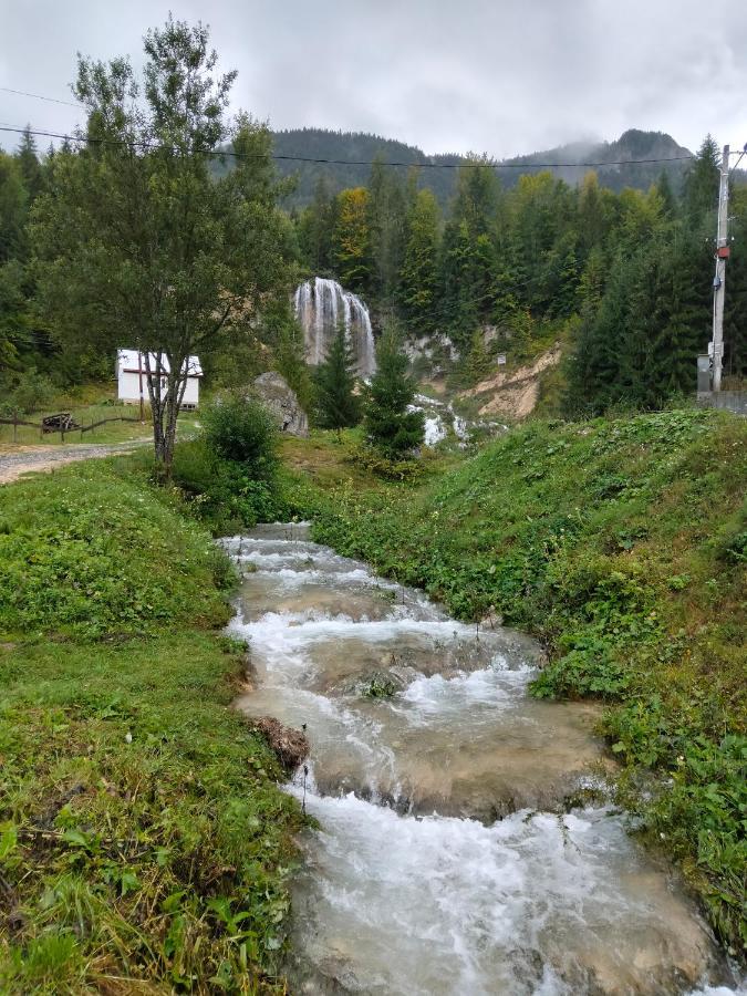 Deea Cascada Villa Vidra  Dış mekan fotoğraf